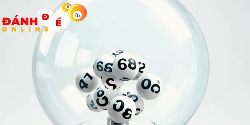 Bí mật dàn đề 16 số nuôi như nào mang lại hiệu quả cao